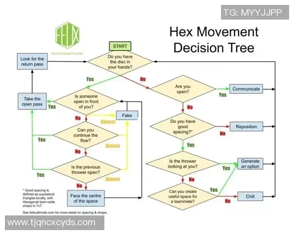 南京飞盘队中路突破分析与战术得失探讨
