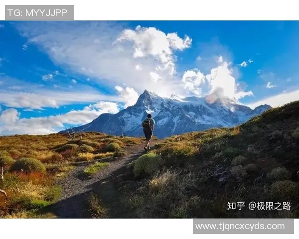 南京极限运动队的防反体系探索与战术创新之路